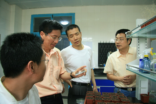 hg皇冠官网